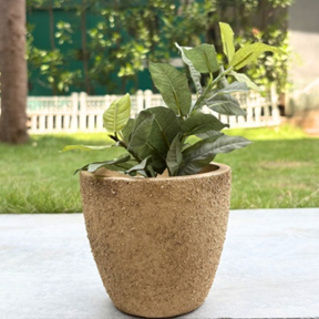 Handpainted Terracotta Planter with print design 