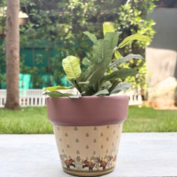 Handpainted Terracotta Planter with print design 