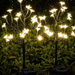 Two solar-powered LED blossom tree garden stakes glowing with warm white lights nestled among green foliage at dusk