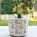 Handpainted Terracotta Planter with print design 