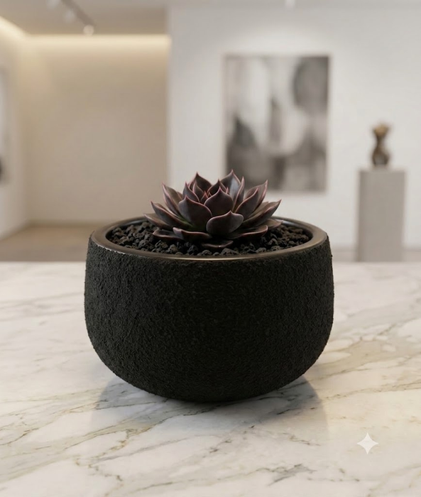Matte black textured terracotta planter pot holding a small dark succulent on a marble surface.