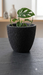 Black textured terracotta plant pot