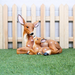 Resin figurine of a mother deer resting with her fawn