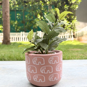 Handpainted Terracotta Planter with print design 