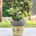 Handpainted Terracotta Planter with print design 