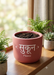 Pink terracotta planter pot featuring the word Sukoon and Peace in white text, sitting on a wooden windowsill with indoor plants.
