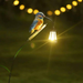 Kingfisher bird garden stick with glowing solar lantern outdoor garden decoration