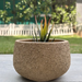 Handpainted Terracotta Planter with print design 