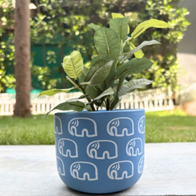 Handpainted Terracotta Planter with print design 