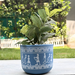 Handpainted Terracotta Planter with print design 