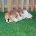 A realistic sleeping dog resin garden statue resting on green artificial turf