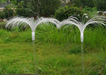Two solar-powered fiber optic jellyfish garden lights with white cascading tendrils installed in a lush green lawn