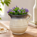 ceramic pitcher planter vase