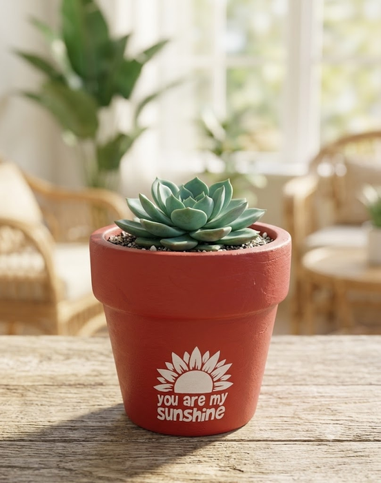 A red terracotta flower pot featuring a white sunflower graphic and the text "You Are My Sunshine,"