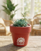 A red terracotta flower pot featuring a white sunflower graphic and the text "You Are My Sunshine,"