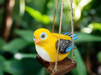 A whimsical yellow and blue hand-painted bird planter containing green succulents, sitting on a rustic wooden swing suspended by jute ropes against a leafy green background.