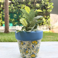 Handpainted Terracotta Planter with print design 