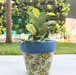 Handpainted Terracotta Planter with print design 