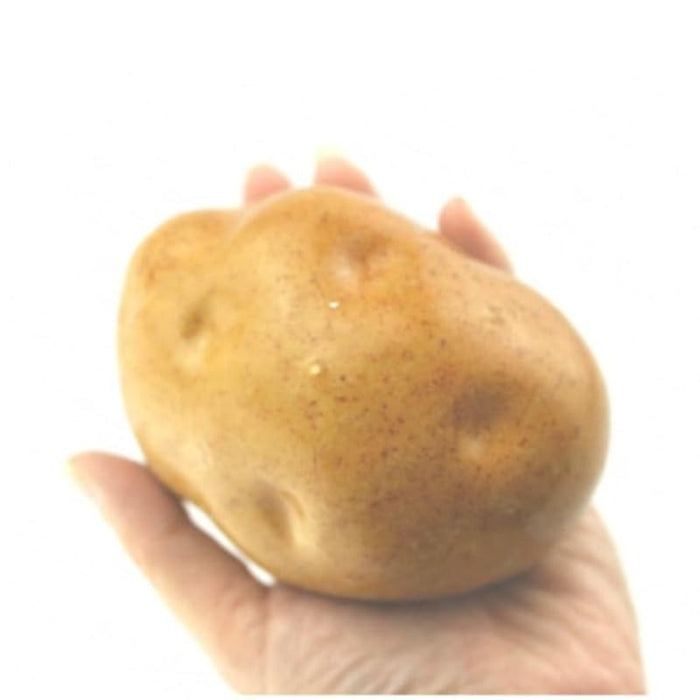 6-Piece Ultra-Realistic Artificial Yellow Potatoes – Life-Size Faux Vegetable Props for Home Decor & Photography
