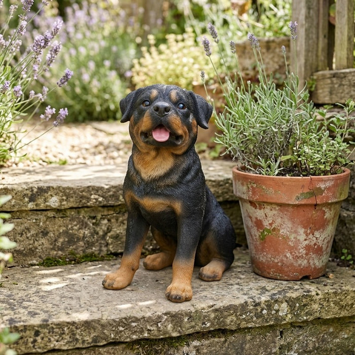 Playful Puppy Garden Figurine – Realistic Black and Tan Dog Statue for Indoor/Outdoor Home Décor-4x2.6x7.5inch