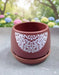 A round, rich coffee-brown terracotta planter and matching saucer sitting on a grey surface. The pot has a detailed white scroll design on the front. The background is a blurred, sunny garden of colourful flowers.