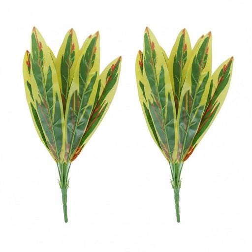 Two green and yellow snake plant stems