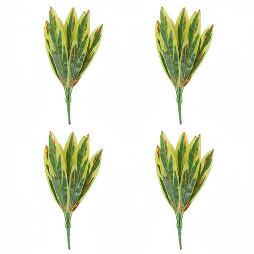 A bundle of four green and yellow snake plant stems against a white background.