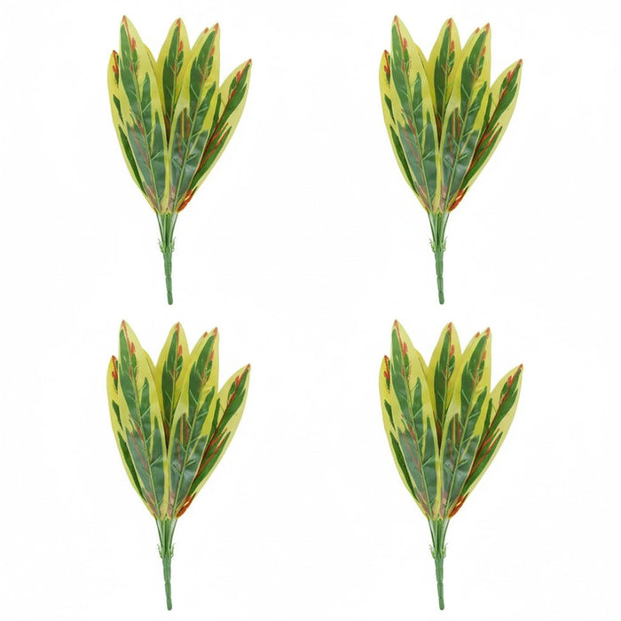 A bundle of four green and yellow snake plant stems against a white background.