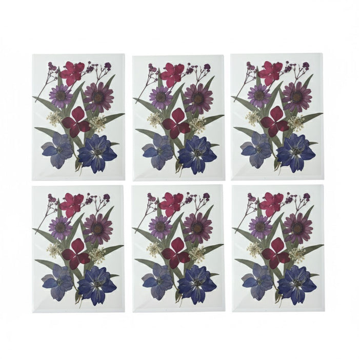 Wonderland Handmade Pressed Flower Greeting Cards - Set of 6 Unique Botanical Art Notes