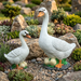 White goose and duck garden statues with eggs, placed in a landscaped rock garden featuring succulents, lavender, and smooth grey pebbles.