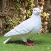 White pigeon garden statue standing on green grass with a stone wall and ivy in the background.