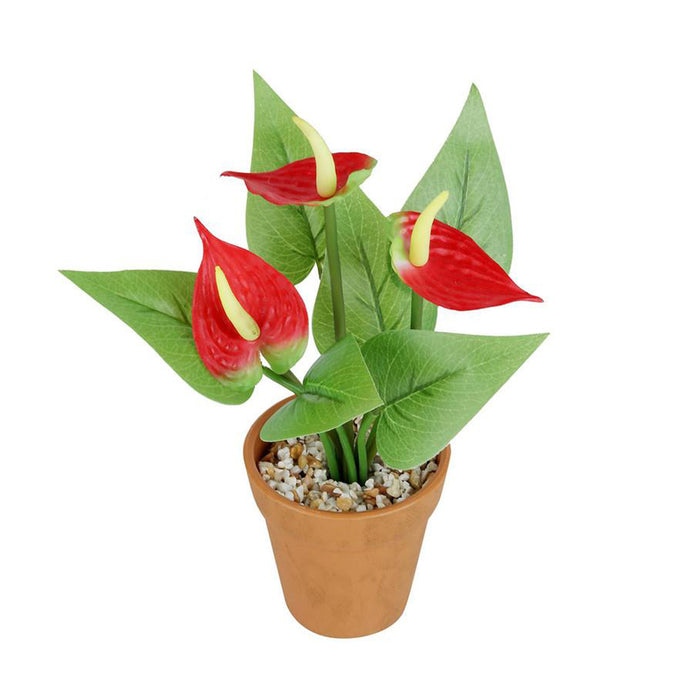 Artificial Anthurium Flower with Plastic pot in Red