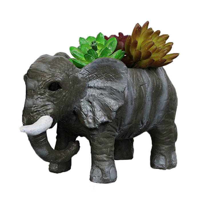 Small Elephant Succulent (for Small Real Plants)