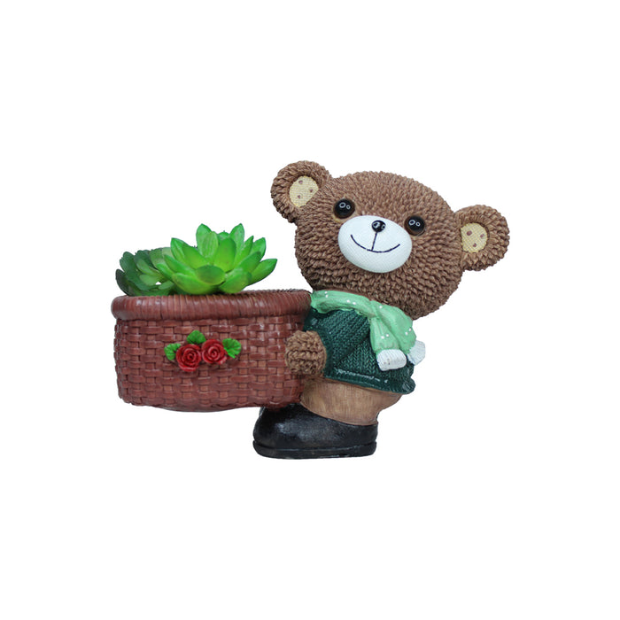 Teddy Bear Succulent for Home Decoration (Brown)