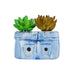 Ceramic Jeans Planter for Home and Garden Decoration (Small) - Wonderland Garden Arts and Craft