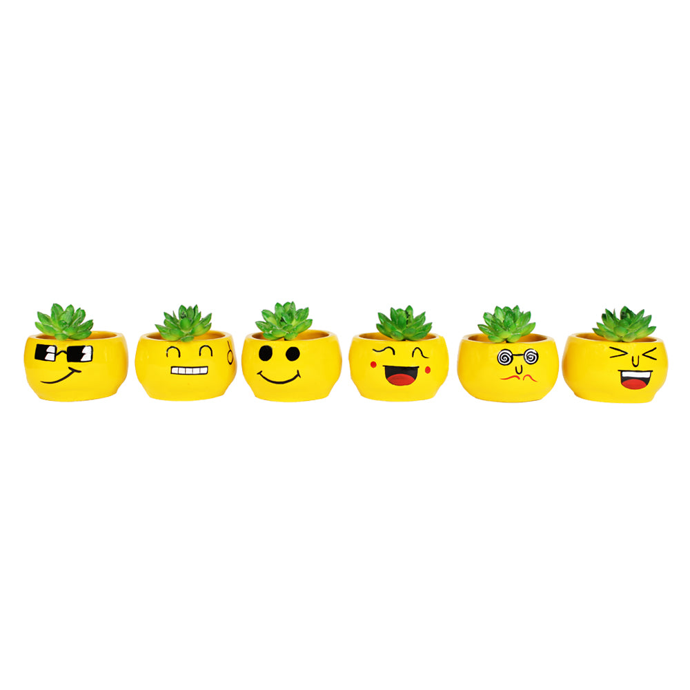 (Set of 6) Smiley Face Succulents Pot for Home Decoration