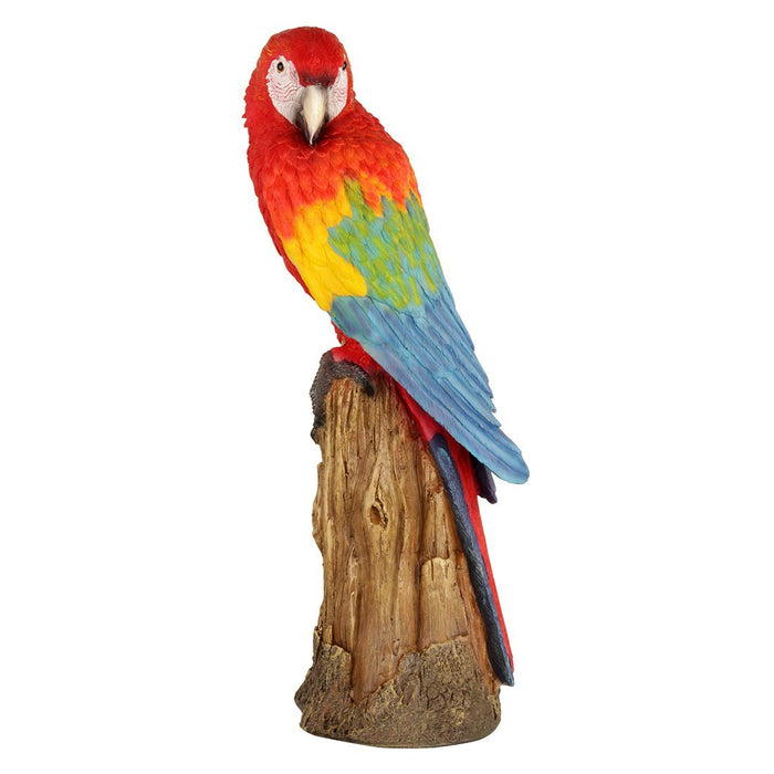 Scarlet Macaw/Parrot Sitting on Tree for Garden Decoration