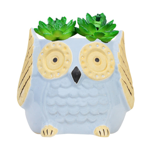 Medium Owl Ceramic Pot for Home Decoration (Light Blue) - Wonderland Garden Arts and Craft