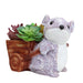 Mouse Succulent Pot for Home and Balcony Decoration (Grey) - Wonderland Garden Arts and Craft