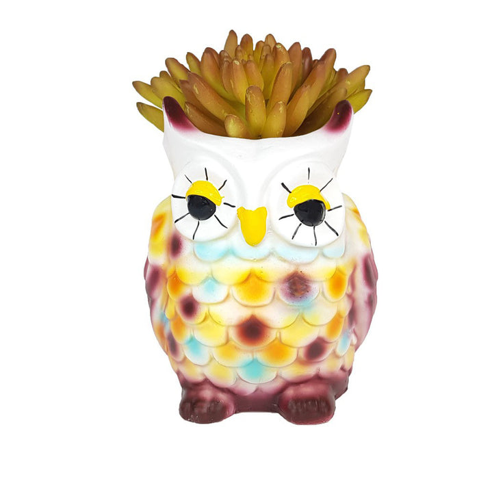 New Owl Succulent Pot for Home and Balcony Decoration