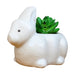 Ceramic Rabbit Small Pot for Home and Garden Decoration (White) - Wonderland Garden Arts and Craft