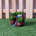 4 Pots Succulent Planter for Home Decoration - Wonderland Garden Arts and Craft