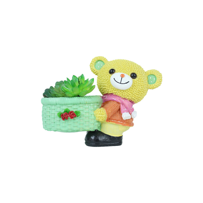 Teddy Bear Succulent for Home Decoration (Yellow)