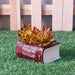 Fat Book Succulent Pot for Home and Balcony Decoration - Wonderland Garden Arts and Craft