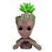 Big Groot (Face in Hand) Succulents for Home Decoration - Wonderland Garden Arts and Craft