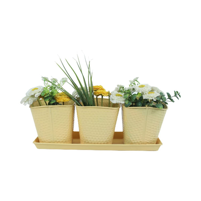 (Set of 3) Dot Pots with Tray for Home Decoration (Beige)