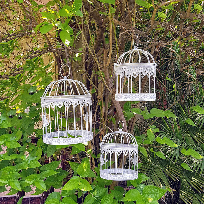 Iron Wall Hanging Bird Cage with Glass Bird