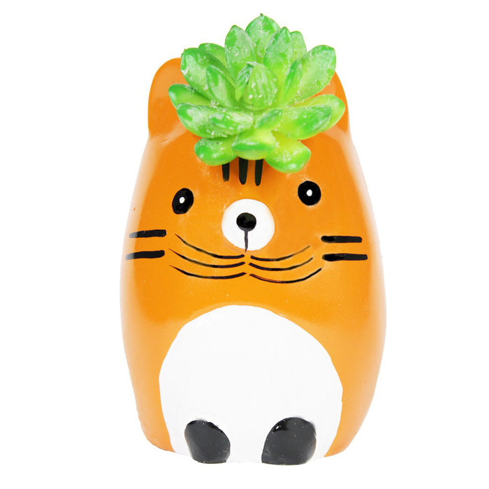 Cat Succulent Pot for Home and Balcony Decoration
