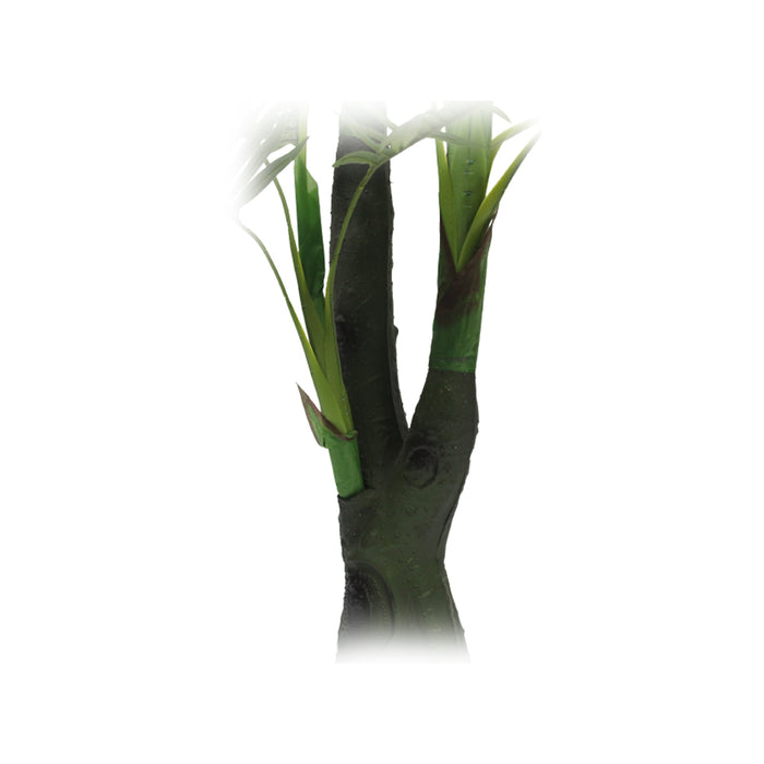 Wonderland Artificial Palm Tree 5.7 Feet, real looking, home decor, office decoration