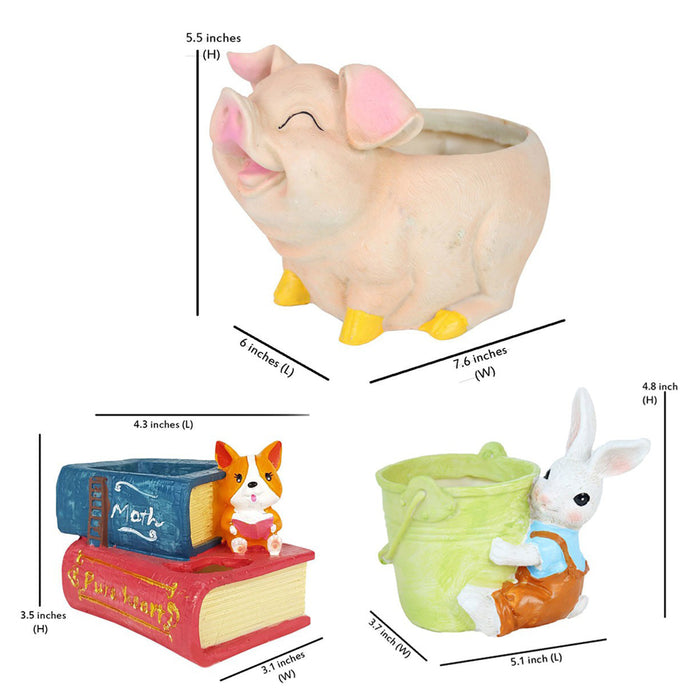 Wonderland Combo pack of 3: Pig Planter, Bunny Succulent Pot & Coorgi with books succulent pot